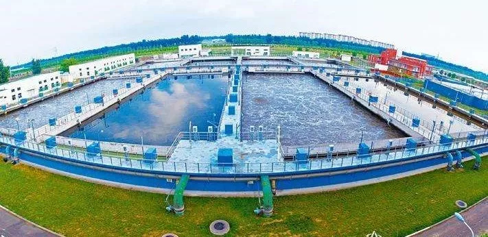 15573623475317.jpg 2.jpg