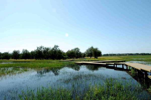 孟津縣濕地局濕地保護區(qū)水渠及道路項目