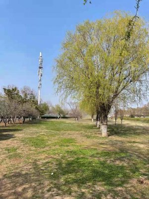 華通“活動日”，快樂工作、幸福生活